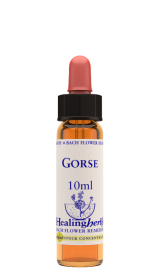 GORSE