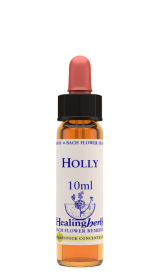 HOLLY