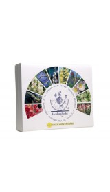 KIT 40 FLACONI 10 ML