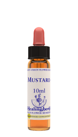 MUSTARD