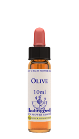 OLIVE