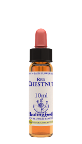 RED CHESTNUT
