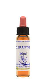 SCLERANTHUS