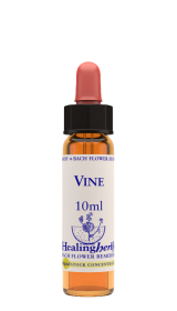 VINE