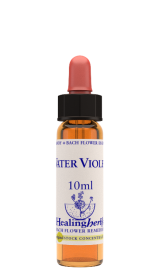 WATER VIOLET