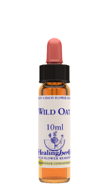 WILD OAT