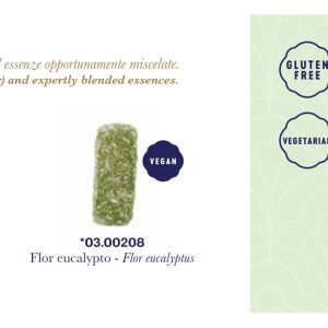 Pastiglie Leone - GOMMOSE FLOR EUCALIPTO SFUSE