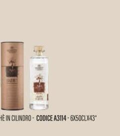 Mazzetti - GRAPPA di RUCHE' in cilindro