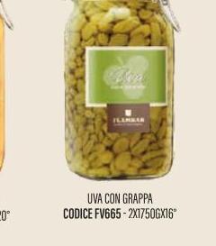 Mazzetti - MESCITA Uva con Grappa