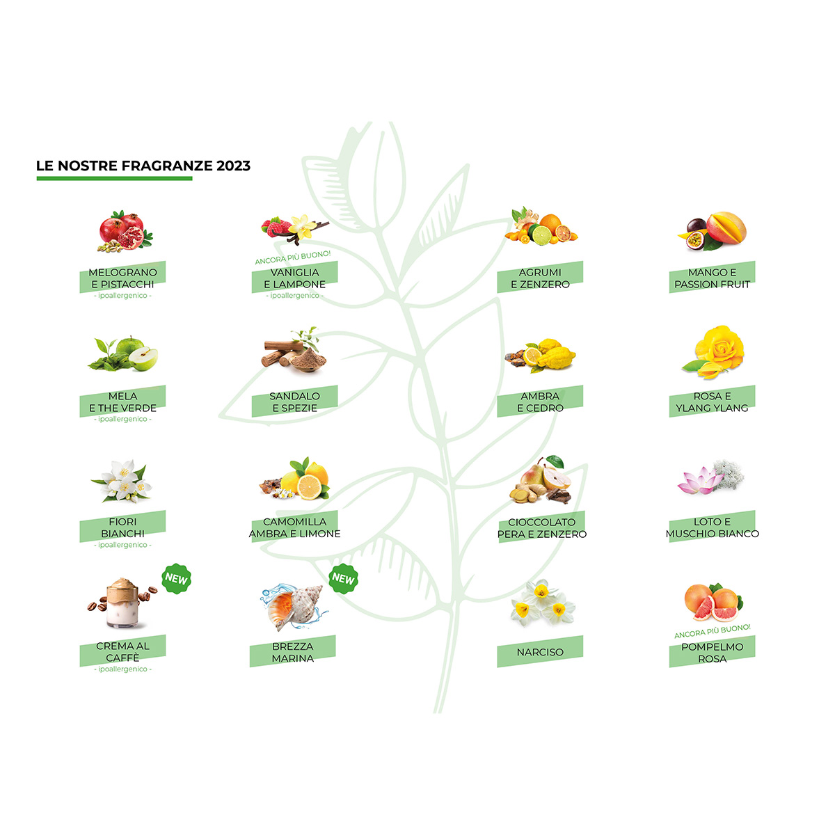 SAPONETTA VEGETALE con SALE e ARGILLA in diverse profumazioni IN SCATOLA DI LATTA - immagine 3